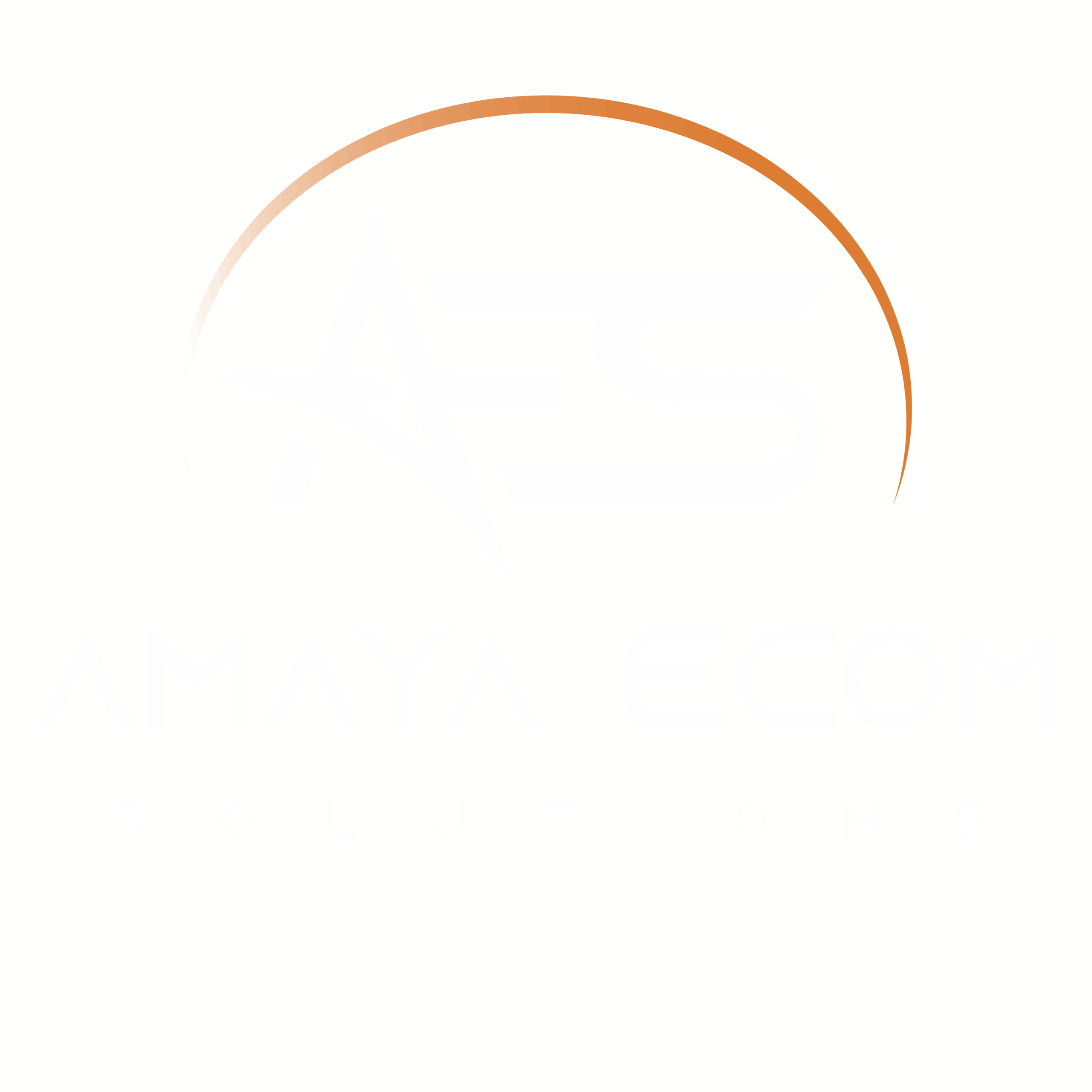 amayaecomsolutions.com